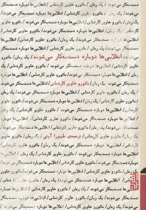 کتاب انقلابی‌ها دوباره دست به کار می‌شوند