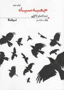 کتاب پازل شعر امروز 24 جعبه سیاه