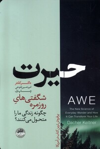 کتاب حیرت شگفتی‌‌های ‌روزمره چگونه ‌زندگی‌ ما را متحول می کنند