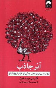 کتاب ابر جاذب روش ‌هایی برای تجلی زندگی‌ای