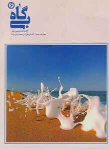 کتاب بی‌ گاه 6
