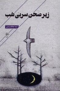 کتاب زیر صحن سربی شب