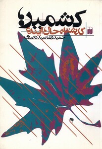 کتاب کشمیر گذشته‌ حال ‌آینده