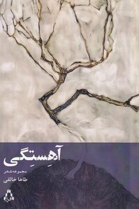 کتاب آهستگی