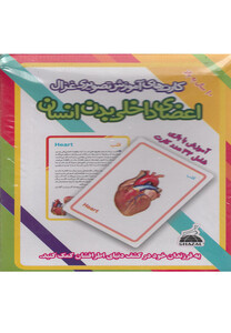 کتاب کارتهای آموزشی تصویری اعضای داخلی بدن