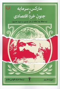 کتاب مارکس سرمایه و جنون خرد اقتصادی