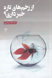 کتاب از زخم‌های تازه خبر داری