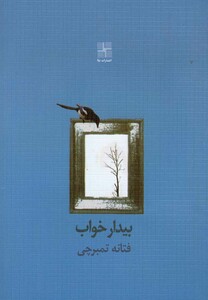 کتاب بیدار خواب