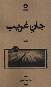 کتاب جان غریب