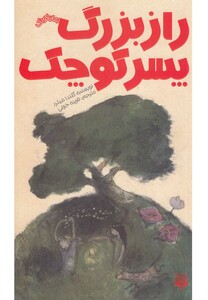 کتاب راز بزرگ پسر کوچک