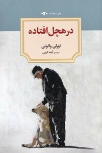 کتاب در هچل افتاده