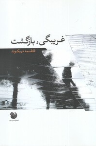 کتاب غریبگی و بازگشت