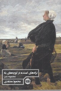 کتاب ترانه های گمشده در کوچه‌های باد