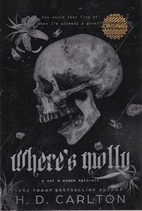 کتاب زبان‌اصلی مولی‌ کجاست