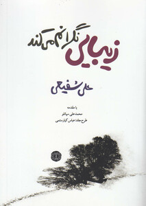 کتاب زیبایی نگرانم می کند