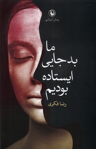 کتاب ما بدجایی ایستاده بودیم