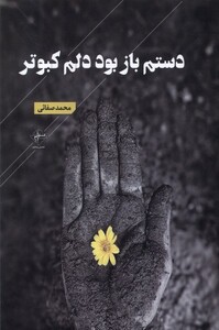 کتاب دستم باز بود دلم کبوتر