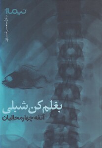 کتاب پازل شعر امروز بغلم  کن شبلی