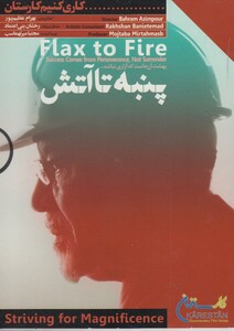 کتاب دی وی دی کاری کنیم(پنبه  تا آتش)