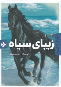 کتاب رمان ‌های ماندگار جهان زیبا ی‌ سیاه