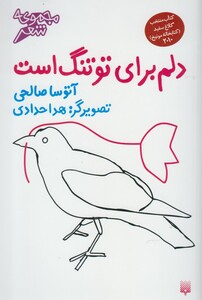 کتاب دلم برای تو تنگ است