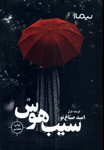 کتاب پازل شعر امروز سیب هوس