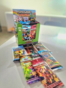 کتاب کارت ماینکرفت(30عددی)