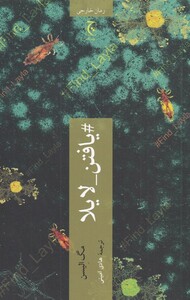 کتاب یافتن لایلا