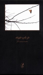 کتاب در شب دیرند