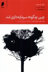 کتاب چین چگونه سرمایه داری شد