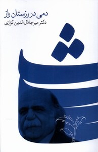 کتاب دمی در رزستان راز