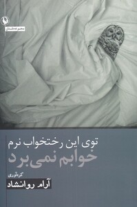 کتاب توی این رختخواب نرم خوابم نم‌برد