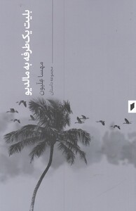 کتاب بلیت یک‌طرفه به مالدیو