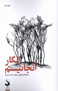 کتاب انگار آنجا نیستم