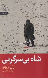 کتاب شاه بی سرگرمی