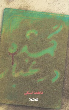 کتاب گمشده در غبار