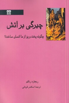 کتاب چیرگی بر آتش