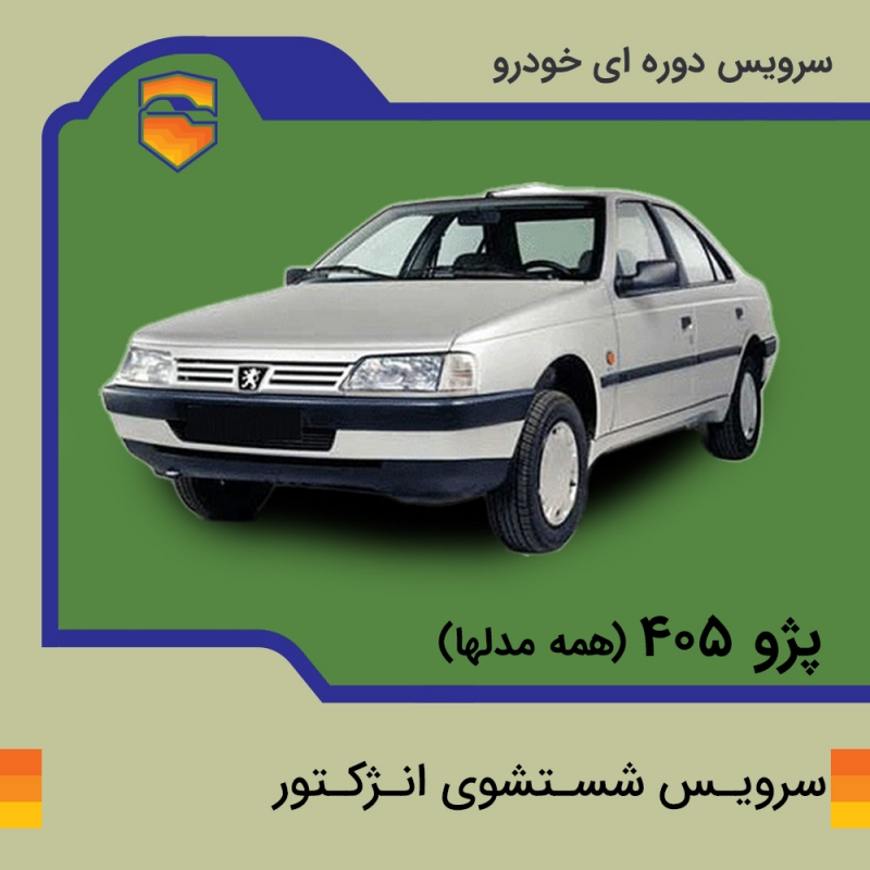 سرویس شست و شوی انژکتور پژو 405