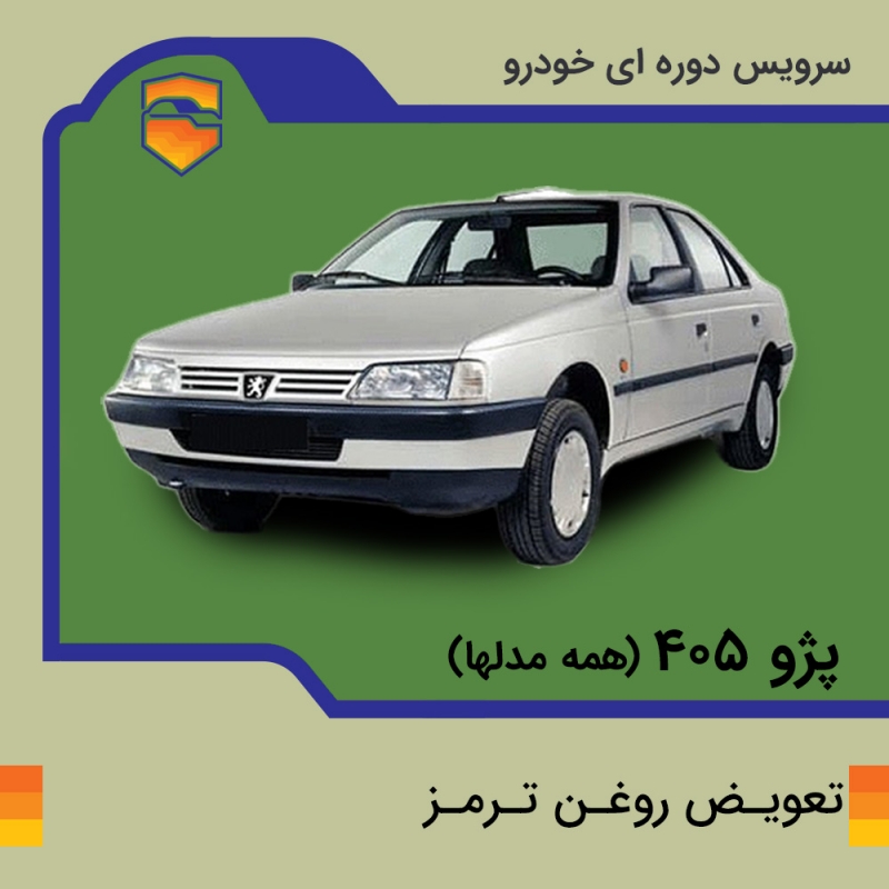 تعویض روغن ترمز انواع پژو 405 با دستگاه در تهران