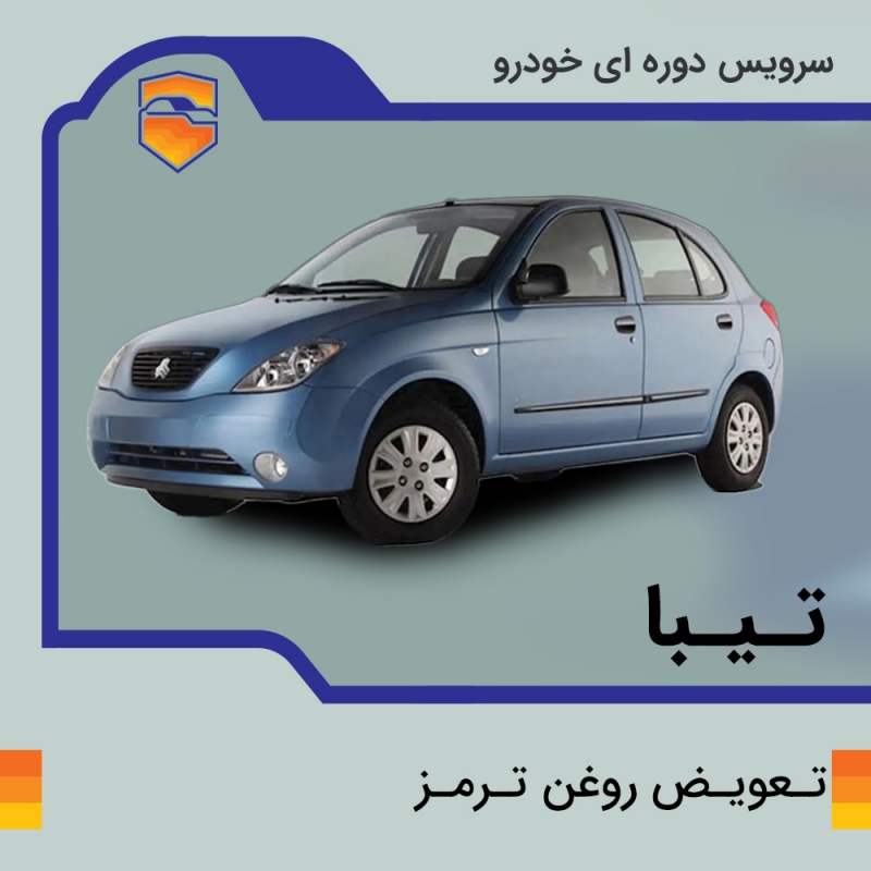 تعویض روغن ترمز تیبا با دستگاه در تهران