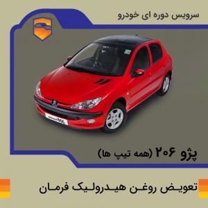 تعویض و شستشو روغن هیدرولیک فرمان پژو206 با دستگاه
