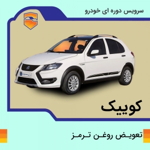 تعویض روغن ترمز کوییک با دستگاه در تهران