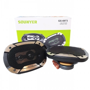 بلندگو سونیر SOUNYER GS-6973