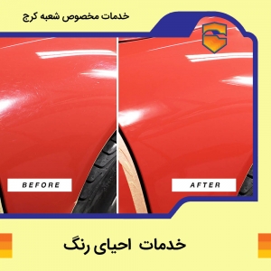 خدمات  احیای رنگ