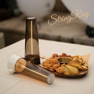 چراغخواب خطی رومیزی شارژی WB-5