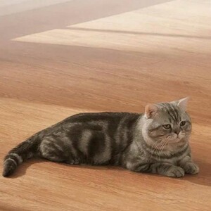 دوربین مداربسته چرخشی IP WiFi شیائومی C500 Pro