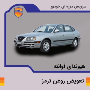 تعویض روغن ترمز هیوندای آوانته