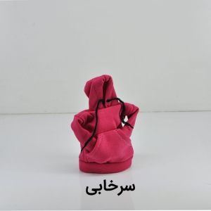 روکش دنده طرح هودی