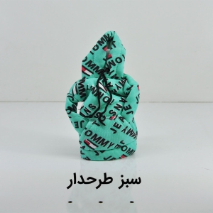 روکش دنده طرح هودی