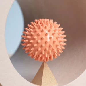 بهترین توپ ماساژ جوجه تیغی